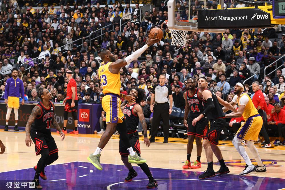 性和专业性 性和专业性